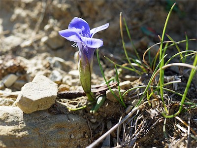 cousimbert_19_006.jpg