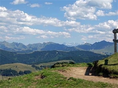 cousimbert_19_012.jpg