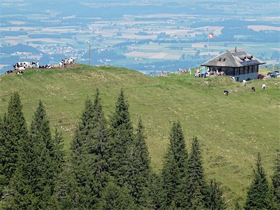 cousimbert_19_017.jpg