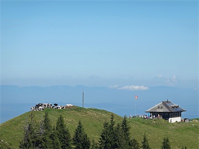 cousimbert_19_018.jpg