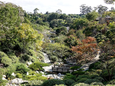 san_diego_gallery_on_2019_traveling_064.JPG