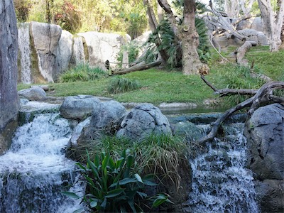 san_diego_zoo_gallery_on_2019_traveling_007.JPG