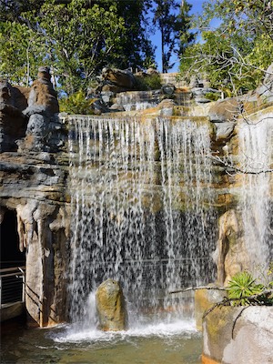 san_diego_zoo_gallery_on_2019_traveling_008.JPG