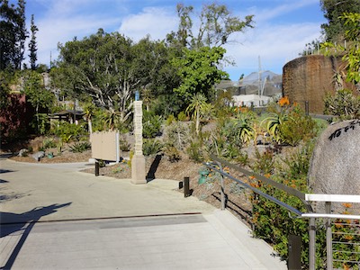 san_diego_zoo_gallery_on_2019_traveling_013.JPG