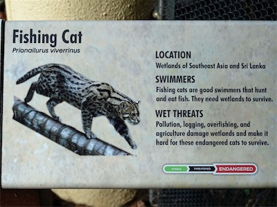 san_diego_zoo_gallery_on_2019_traveling_023.JPG