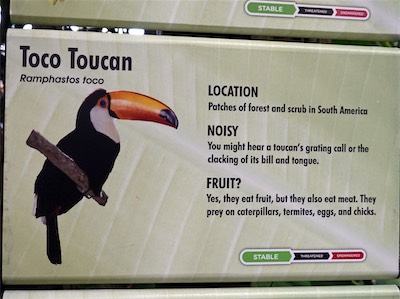 san_diego_zoo_gallery_on_2019_traveling_033.JPG