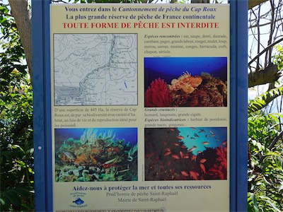 provence-alpes-côte d'azur_galery_2020_06_123.jpg