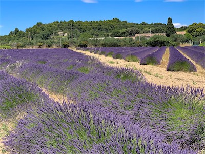 provence-alpes-côte d'azur_galery_2020_06_215.jpg