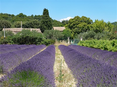 provence-alpes-côte d'azur_galery_2020_06_216.jpg