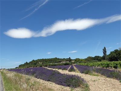 provence-alpes-côte d'azur_galery_2020_06_218.jpg