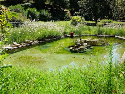 provence-villecroze_var_galery_2020_07_027.jpg