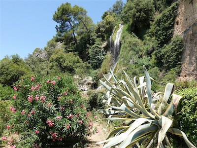 provence-villecroze_var_galery_2020_07_029.jpg