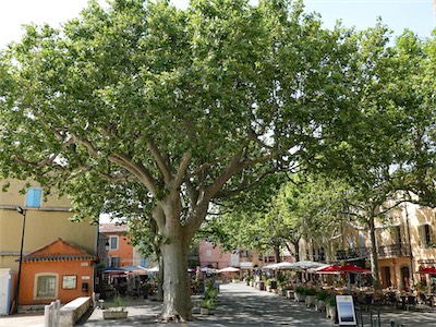 provence-villecroze_var_galery_2020_07_042.jpg