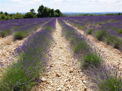 provence_tourtour_sainte_croix_du_verdon_gallery_2021_023.jpg