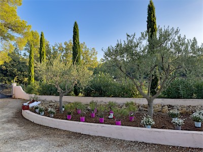 driveway_2023_galery_2023_022.jpg