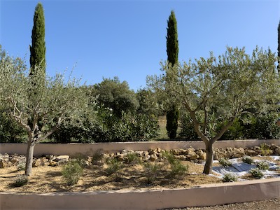 driveway_2023_galery_2023_030.jpg