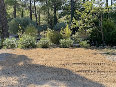 driveway_2023_galery_2023_037.jpg