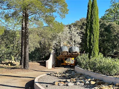 landscaping_2023_galery_2023_002.jpg