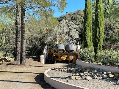 landscaping_2023_galery_2023_003.jpg