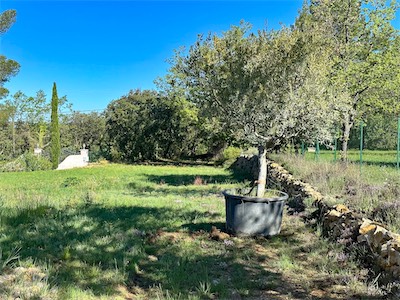 landscaping_2023_galery_2023_009.jpg