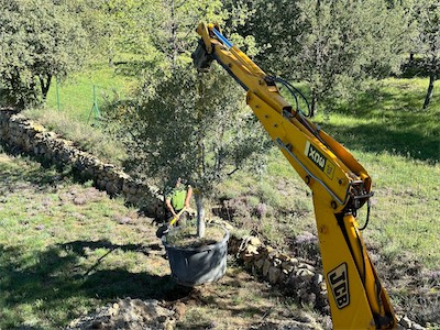 landscaping_2023_galery_2023_011.jpg