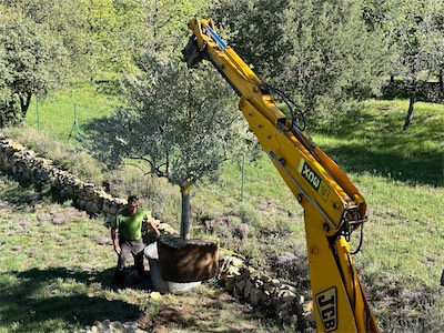 landscaping_2023_galery_2023_012.jpg