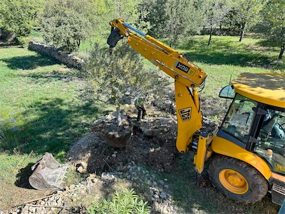 landscaping_2023_galery_2023_013.jpg