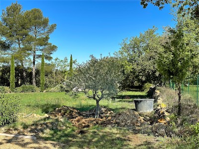 landscaping_2023_galery_2023_015.jpg
