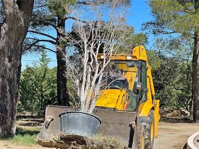 landscaping_2023_galery_2023_018.jpg