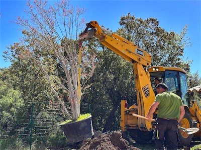 landscaping_2023_galery_2023_019.jpg