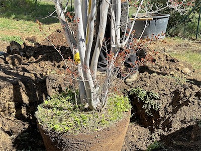 landscaping_2023_galery_2023_020.jpg