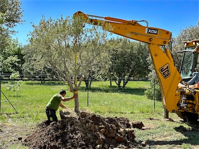 landscaping_2023_galery_2023_030.jpg