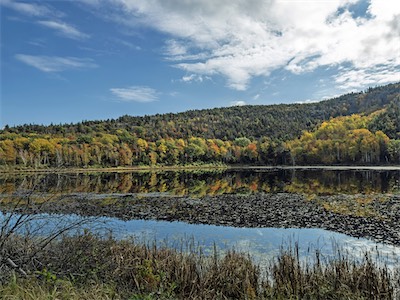 indian_summer_gallery_2023_028.jpg