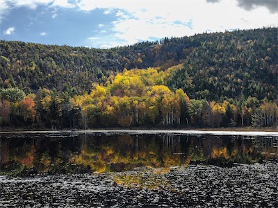 indian_summer_gallery_2023_029.jpg