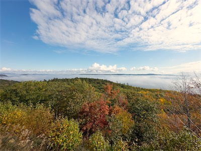 indian_summer_gallery_2023_030.jpg