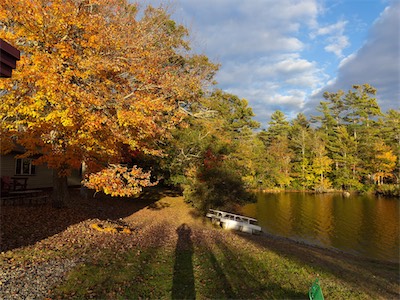 indian_summer_gallery_2023_046.jpg
