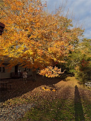 indian_summer_gallery_2023_052.jpg