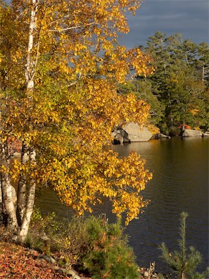 indian_summer_gallery_2023_053.jpg