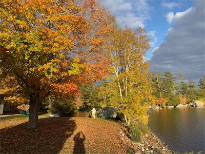 indian_summer_gallery_2023_054.jpg