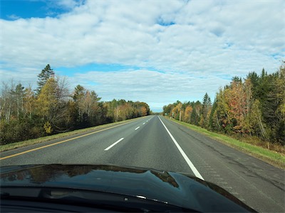 indian_summer_gallery_2023_059.jpg