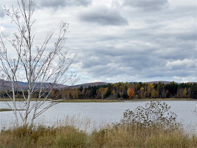 indian_summer_gallery_2023_065.jpg