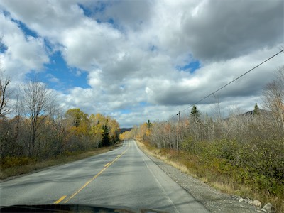 indian_summer_gallery_2023_068.jpg