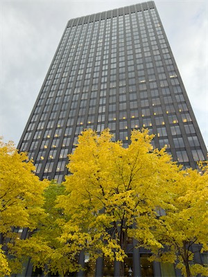 indian_summer_gallery_2023_081.jpg