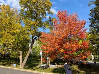 indian_summer_gallery_2023_102.jpg