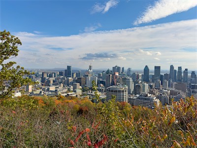 indian_summer_gallery_2023_103.jpg