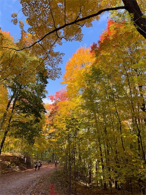 indian_summer_gallery_2023_106.jpg