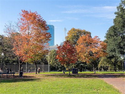 indian_summer_gallery_2023_172.jpg