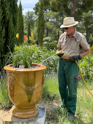 gardenflowers_gallery_2024_010.jpg