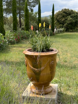 gardenflowers_gallery_2024_012.jpg