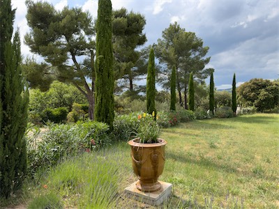 gardenflowers_gallery_2024_013.jpg